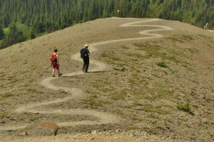 Edith_Cambell_meadow_trail_5.jpg