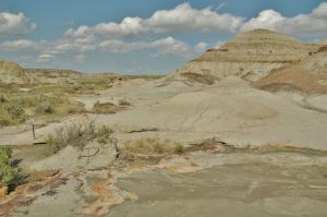 Dinosaur_Provincial_Park_6.jpg