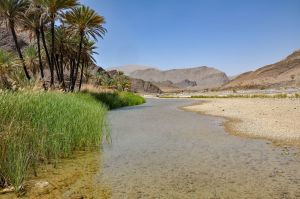 wadi tiwi 1.jpg