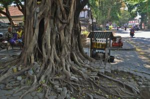 Mataram_stacja_paliw_Lombok.jpg