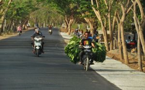 transport_skutery_Lombok.jpg
