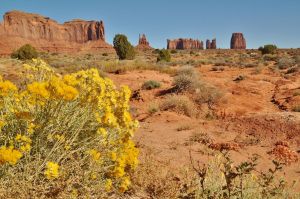 1_Monument_Valley_droga.jpg