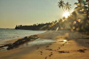 silent_beach_sunset_sri_lanka.jpg