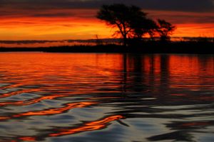 zachod_okavango_delta.jpg