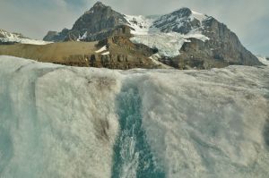 Columbia_Icefield_topniejcy_lodowiec.jpg