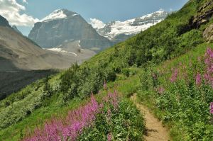 Banff_NP_trek_to_Agnes_tea_house.jpg