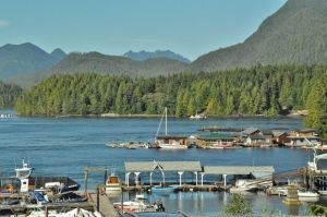 Tofino_port.jpg