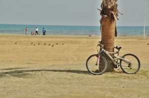 Larnaka_rower.jpg