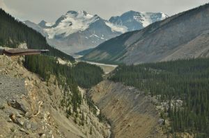 Jasper_NP_sky_walk.jpg