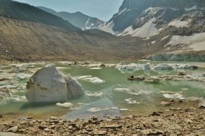 Edith_Cavell_Lake_1.jpg