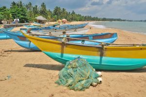 plaa_tangalle_sri_lanka.jpg