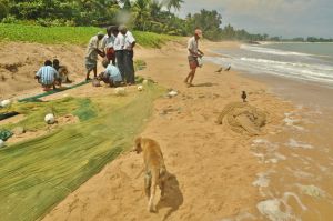 scenka_rybacka_tangalle_sri_lanka.jpg