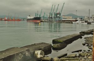 Batumi_port.jpg