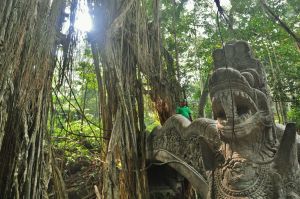 Mapi_Gaj_mostek_Ubud_Bali.jpg