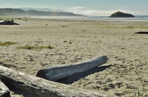 Pacific_Rim_NP_Combres_Beach_2.jpg