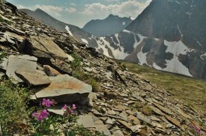 Edith_Cambell_meadow_trail_3.jpg