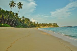 plaza_za_850_usd_silent_beach_sri_lanka.jpg